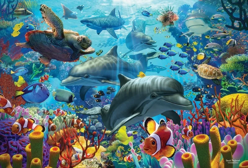 Coral Sea