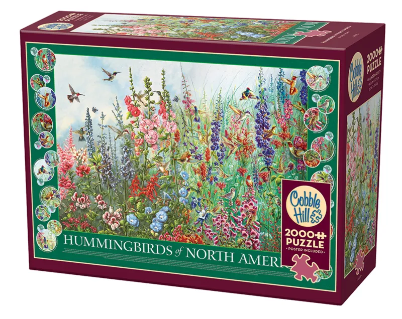Hummingbirds of North America