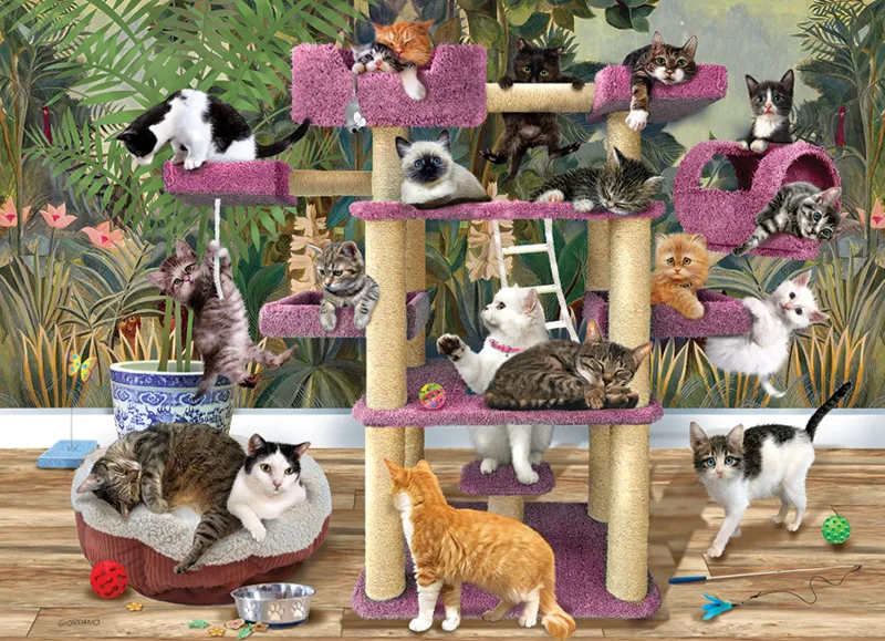 Dschungel Katzen