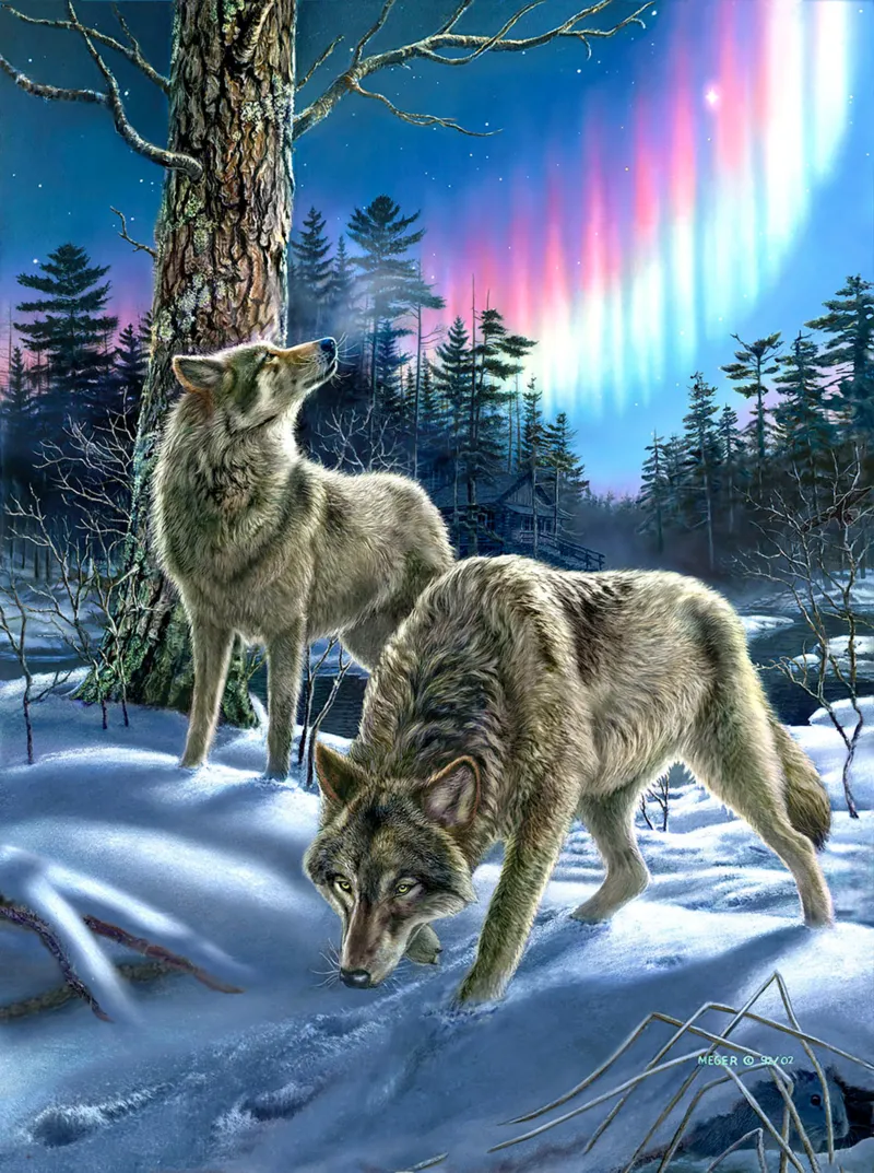 Wölfe im Nordlicht