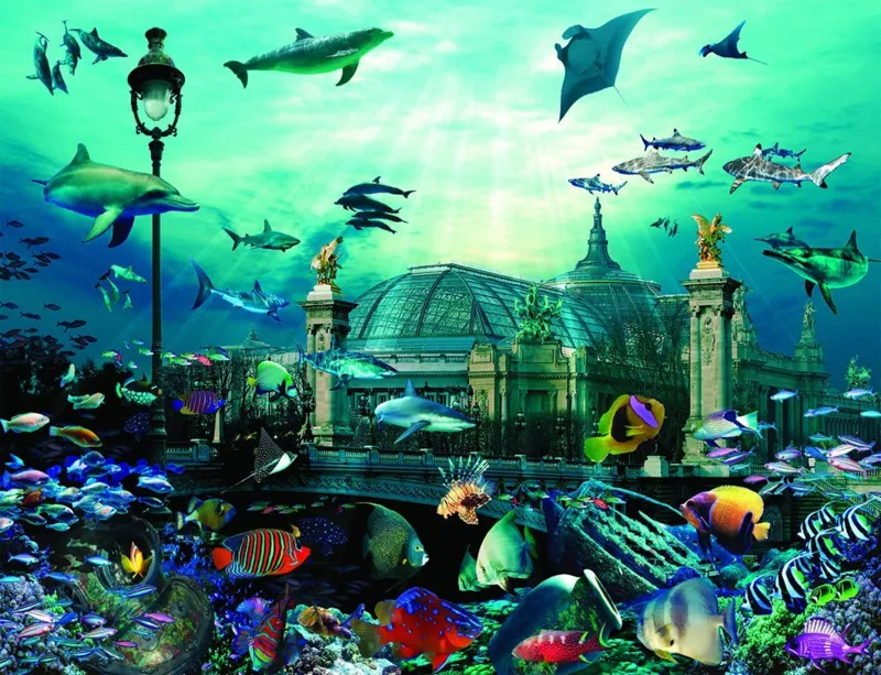 Aquarium