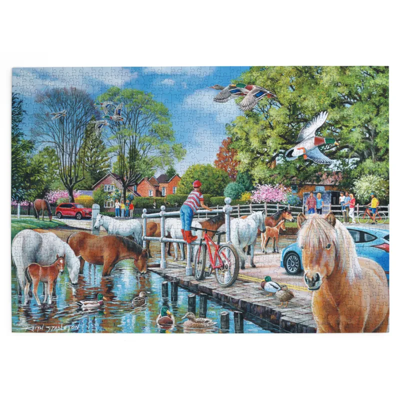 New Forest Ponies