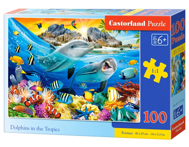 Dolphins in the Tropics