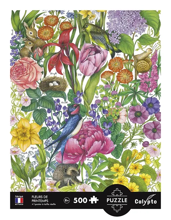 Frühlingsblumen