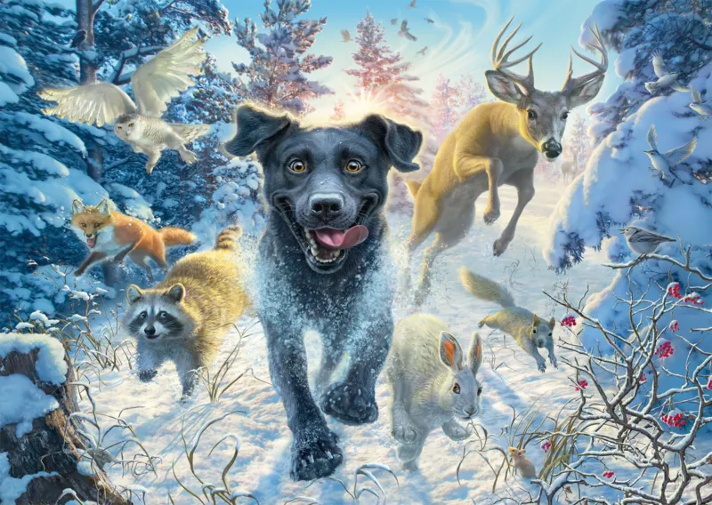 Hundeliebe - Schwarzer Labrador im Schnee