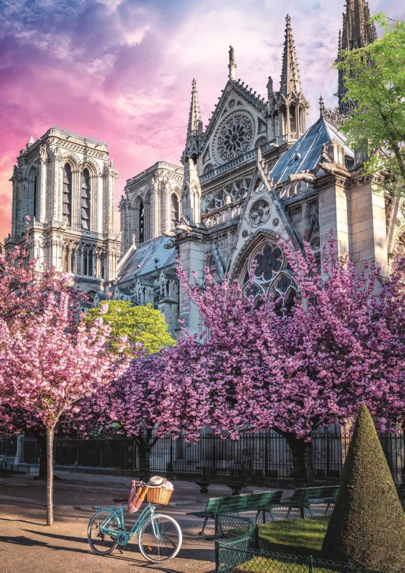 Photo Odyssey: Notre-Dame Cathedral of Paris