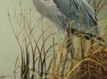 XXL Teile - Great Blue Heron