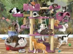 Dschungel Katzen