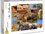 Collage - Wildlife