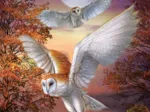 Moonlight Owls