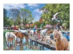 New Forest Ponies