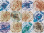 Cardinal Signs
