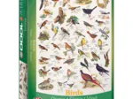 Vögel (englischer Text)