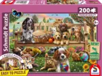 Hunde und Katzen