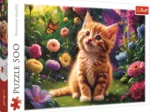 Cute Kitty